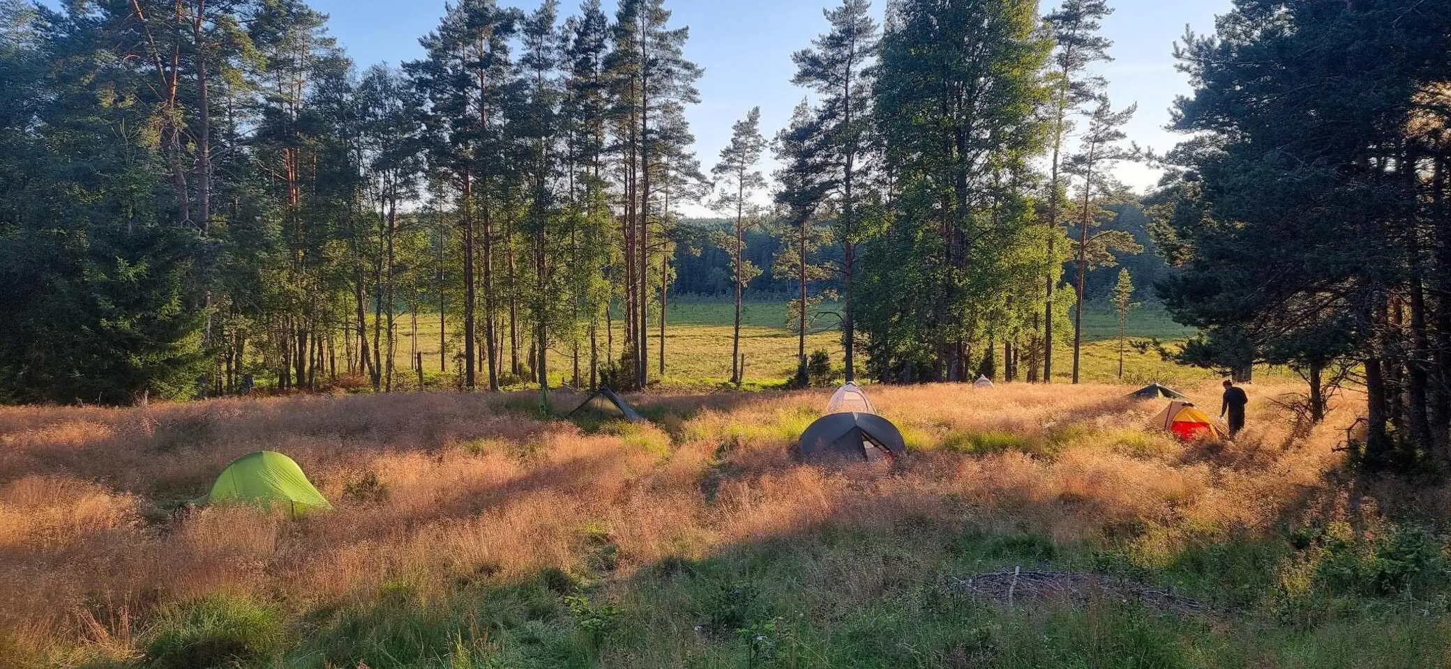 Zelte auf einer Wiese mit einem Menschen | © DAV AlpinClub Kassel